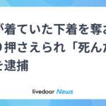 【埼玉】路上で死んだふり？下着強奪狙いの男(27)…衝撃の手口が波紋