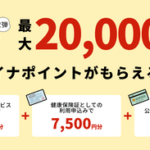 【疑問】マイナポイント2万円とかヤフープレミアムの1万円キャンペーンに参加しない人ってなんなん？