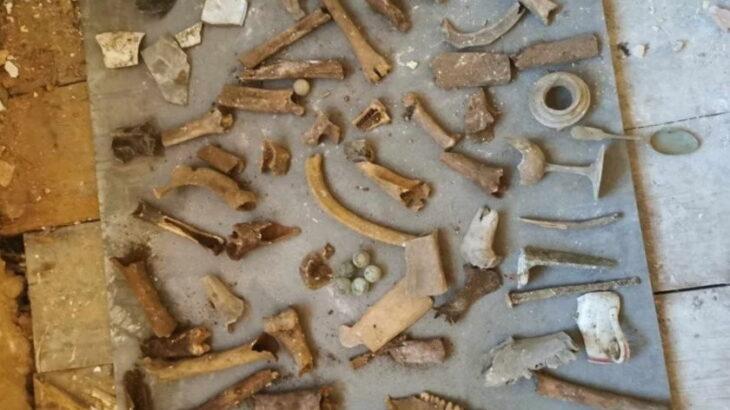 イギリスの配管工、床から20本以上の骨発見