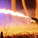 火炎放射犬型ロボット「Thermonator」約146万円で発売 米国での販売は合法　(動画あり)