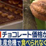 【値上げ】チョコレート食べられなくなる？カカオ生産危機で３・５倍急騰 銅よりも高価格「ぜいたく品に」指摘も 店頭値上げは今年後半