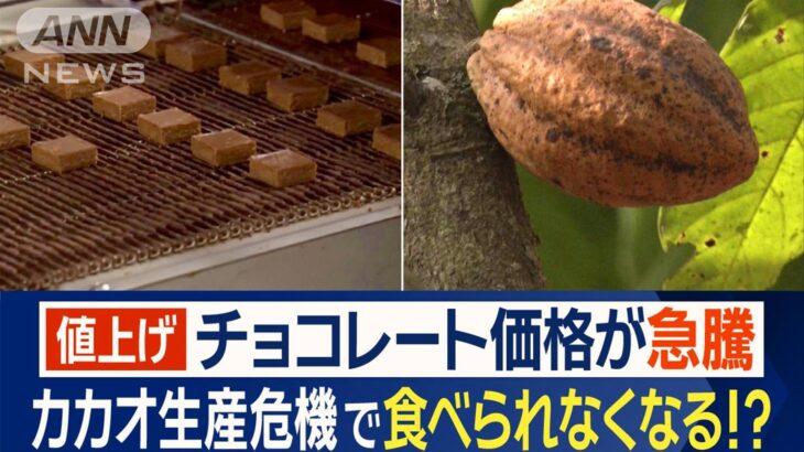 【値上げ】チョコレート食べられなくなる？カカオ生産危機で３・５倍急騰 銅よりも高価格「ぜいたく品に」指摘も 店頭値上げは今年後半