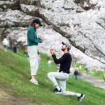 美人外国人さん、日本の桜の下でプロポーズを受けてしまう！！！