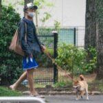 市川猿之助「一家心中」事件から丸1年：愛らしい柴犬と公園散歩で見せる驚きの変貌