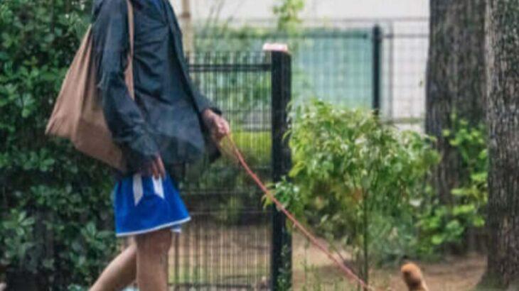 市川猿之助「一家心中」事件から丸1年：愛らしい柴犬と公園散歩で見せる驚きの変貌