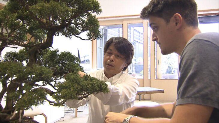 【BONSAI】世界的な『盆栽』ブーム到来！　スペインから弟子入りまで！「樹が何を求めているのかを理解しないといけないのが面白い」