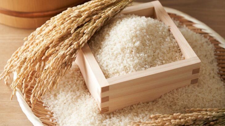 【米不足】猛暑に負けず! お米の価格高騰に続々登場する“猛暑に強い”新種