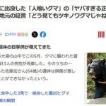 秋田県に出没した人喰いグマはヒグマとツキノワグマのハイブリッド？クマを見た人｢どう見てもツキノワグマじゃねえ｣
