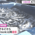 【悲報】日本人、ガチで魚を食べなくなる