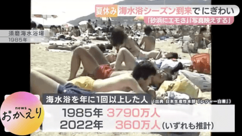 【悲報】 日本人、ガチで海水浴に行かなくなる