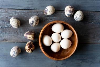 ウズラ農家が苦境､給食窒息死事故で使用中止広がる うずらの卵使ったレシピってなんかないの？