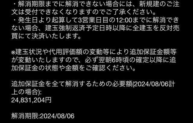 【緊急】ワイ、追証2500万発生で絶望