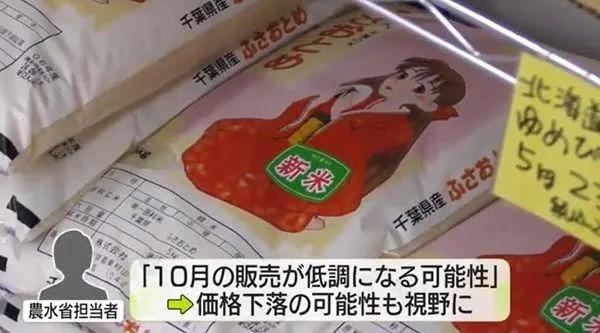 【令和の米騒動】コメの品薄状態が改善の兆し ― 新米の価格見通しと今後の展望