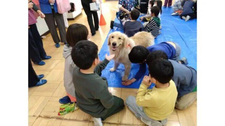 学校飼育動物の現状と課題—消えゆく小学校の飼育小屋