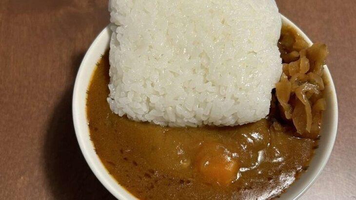 「2日目のカレーあるある」— 冷凍ご飯がカレーの上に鎮座、その光景に共感続出