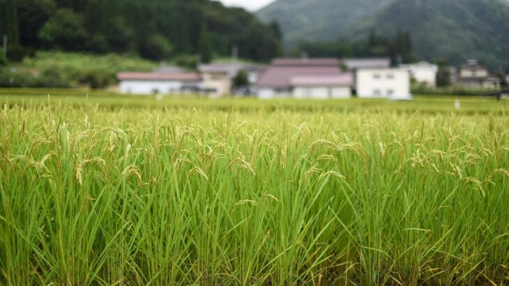 農家「汗水流して働くぞ」→農林中央金庫「運用失敗で2兆円の赤字になったわｗｗｗｗ」