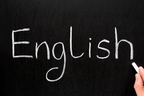 今の時代に英語を勉強しないって逆張りだよな