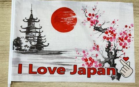 「I Love Japan」旗売りつけ500円請求　「何度も断ったが」10分以上つきまとうケースも　那覇市で事例相次ぐ　滞在費の支援求める