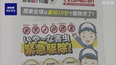 消費者庁､｢ゴキブリ駆除550円～｣と宣伝しているのに不安をあおって高額請求する業者｢ORBITAL PERIOD｣を公表し注意呼びかけ