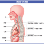 まだ30歳なのに食道癌になったけど何か質問ある？