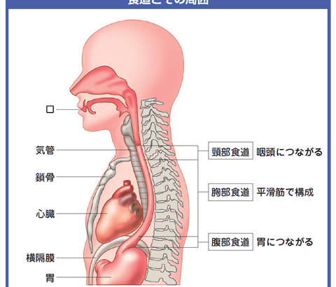 まだ30歳なのに食道癌になったけど何か質問ある？