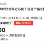 タイミーで闇バイトっぽい案件見つかる｢深夜に指定された道で猫を探すバイト｣