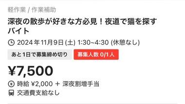 タイミーで闇バイトっぽい案件見つかる｢深夜に指定された道で猫を探すバイト｣