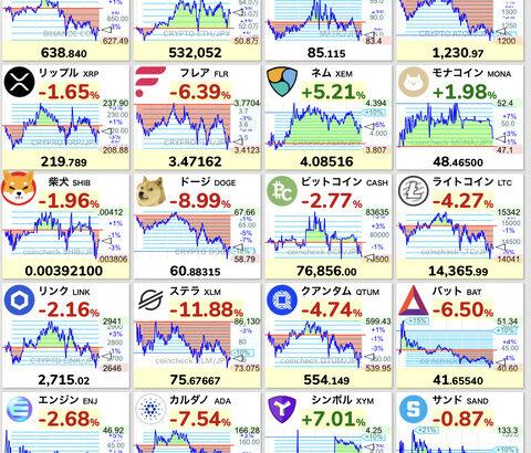 【悲報】ビットコイン、DOGE、SOLが下落。仮想通貨新人研修始まる