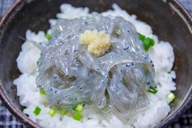 江ノ島の生しらす丼って美味い？