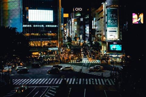 【悲報】東京都民さん「助けて！ネズミが大繁殖しててとんでもないことになってるの！！」