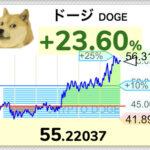 【朗報】仮想通貨DOGEが55円突破。ありがとうイーロンマスク