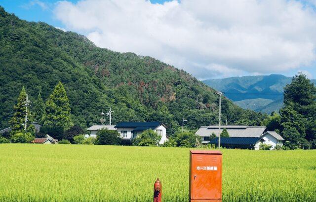 「本当に日本が終わってしまう(切実)」出生数が予想より20年早く70万人割れ、“なにもない”地方に求めたいこと