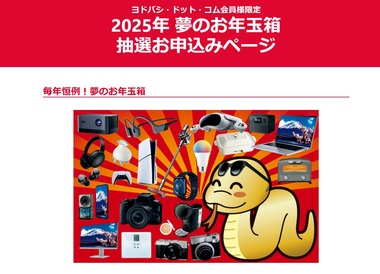 ヨドバシカメラの福袋｢2025年 夢のお年玉箱｣､抽選申込みは今日まで