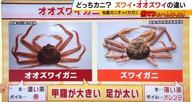 【朗報】｢オオズワイガニ｣とかいう偽ズワイガニが大量発生 ズワイガニ市場をぶっ壊すwww