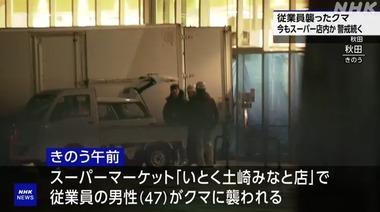 秋田市のスーパー｢いとく｣に侵入したクマ､1日経ってもまだ居座ってる