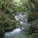 「遭難したら沢を辿れば下山できる」←これ