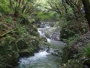 「遭難したら沢を辿れば下山できる」←これ