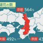 【悲報】花粉飛散させるスギ雄花､近畿では例年の4～5倍 福岡･徳島･静岡で2倍 専門家｢早めの対策を｣