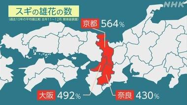 【悲報】花粉飛散させるスギ雄花､近畿では例年の4～5倍 福岡･徳島･静岡で2倍 専門家｢早めの対策を｣