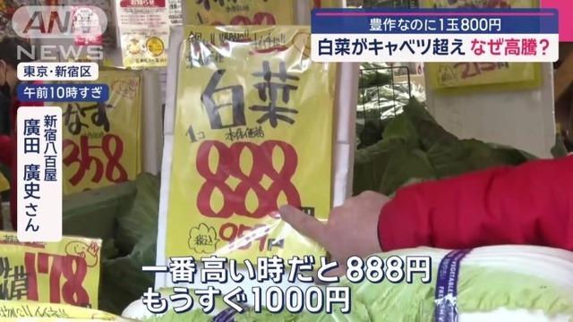 豊作なのに1玉800円「白菜がキャベツ超え」なぜ高騰！キャベツの代用で白菜に切り替えか