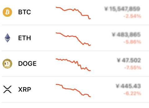 【悲報】仮想通貨、大暴落。春節バブルとか大嘘でした