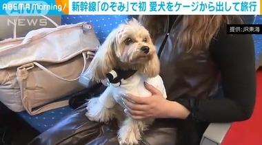 愛犬家に朗報 JR東海が愛犬をかごから出せる新幹線｢わんわんエクスプレス｣を試験