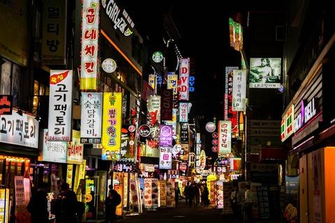 韓国とか言う憧れの国、正直叶うなら移住したいよな