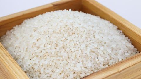 米ってもう5kg2000円時代には戻らないの？