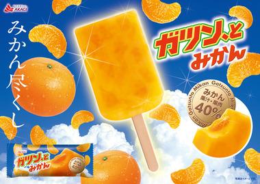 【謎】20歳越えるとアイスを食べなくなる現象
