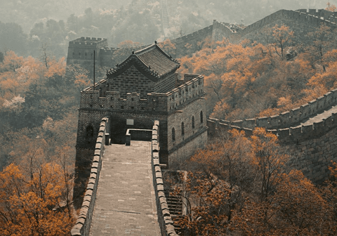 お前らなんで「中国旅行」行かないの？怖いのか？ｗ
