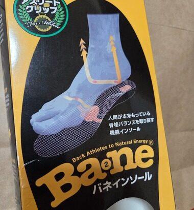 ワイ将、6380円もするインソール購入ｗｗｗｗｗｗｗｗｗ