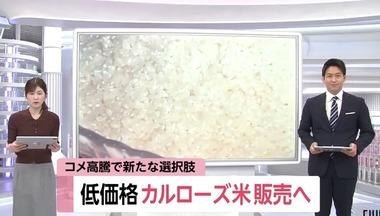 イオン､米カリフォルニア産｢カルローズ米｣を6月上旬から販売へ 4キロあたり2680円