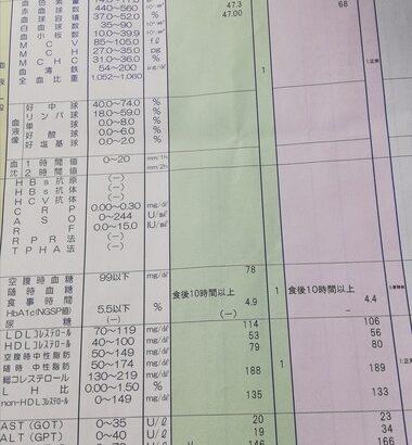【画像】俺の健康診断の結果これで精密検査なったけど