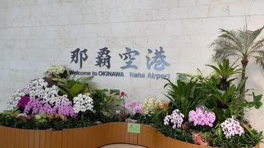 ワイ､沖縄上陸したンゴｗｗｗｗｗｗｗｗｗｗ